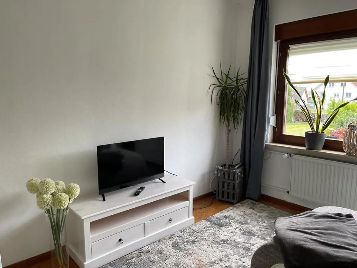 Holiday home Ferienhaus Cekic Villa Erlenbach am Main Germany